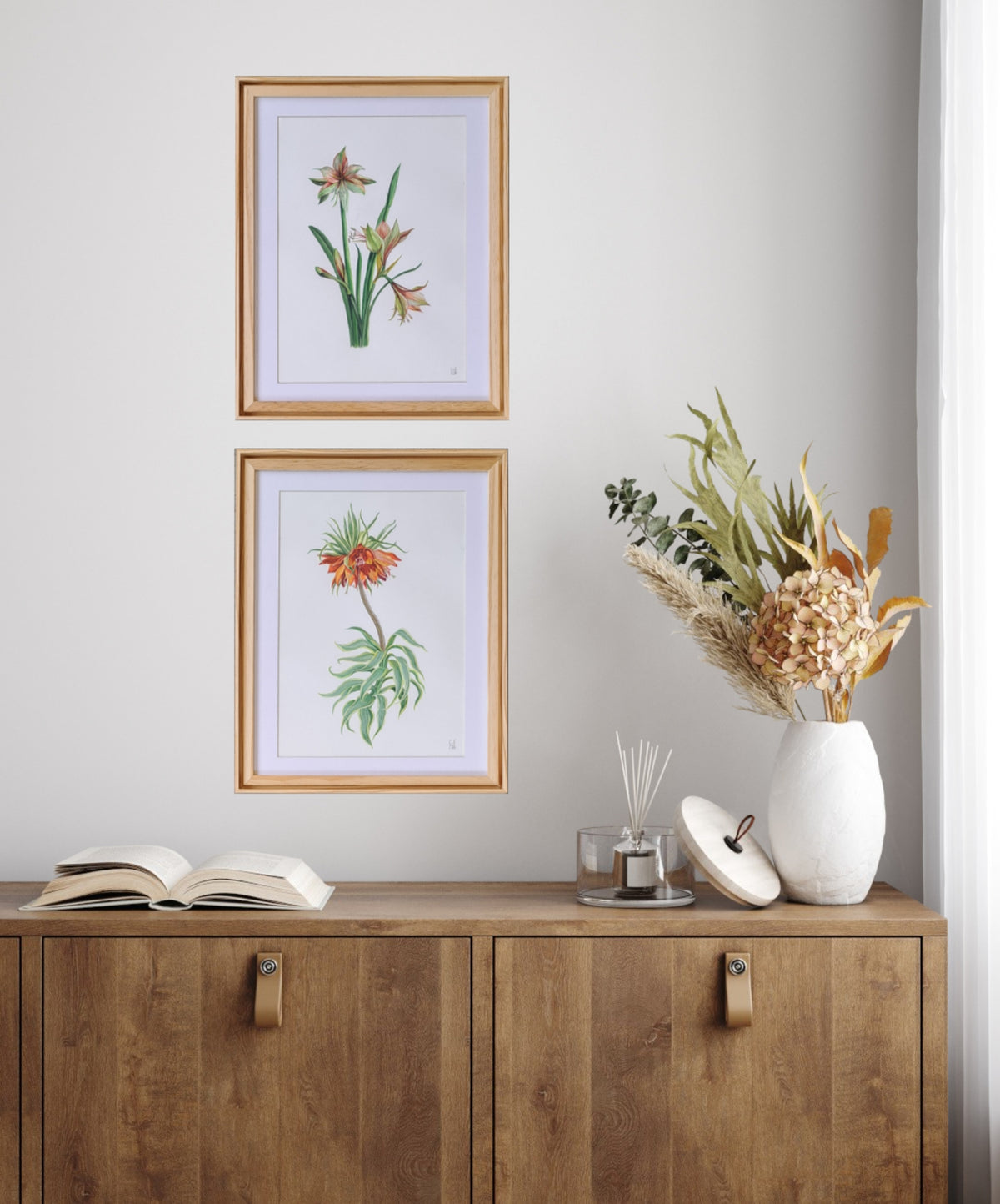 Amaryllis