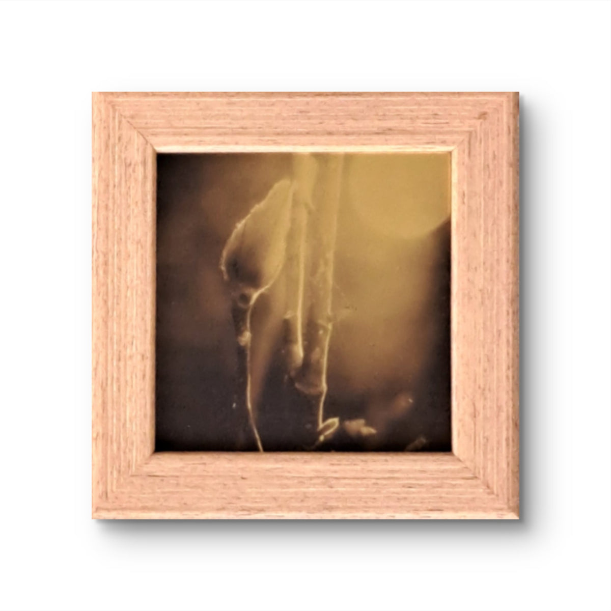 Golden 02