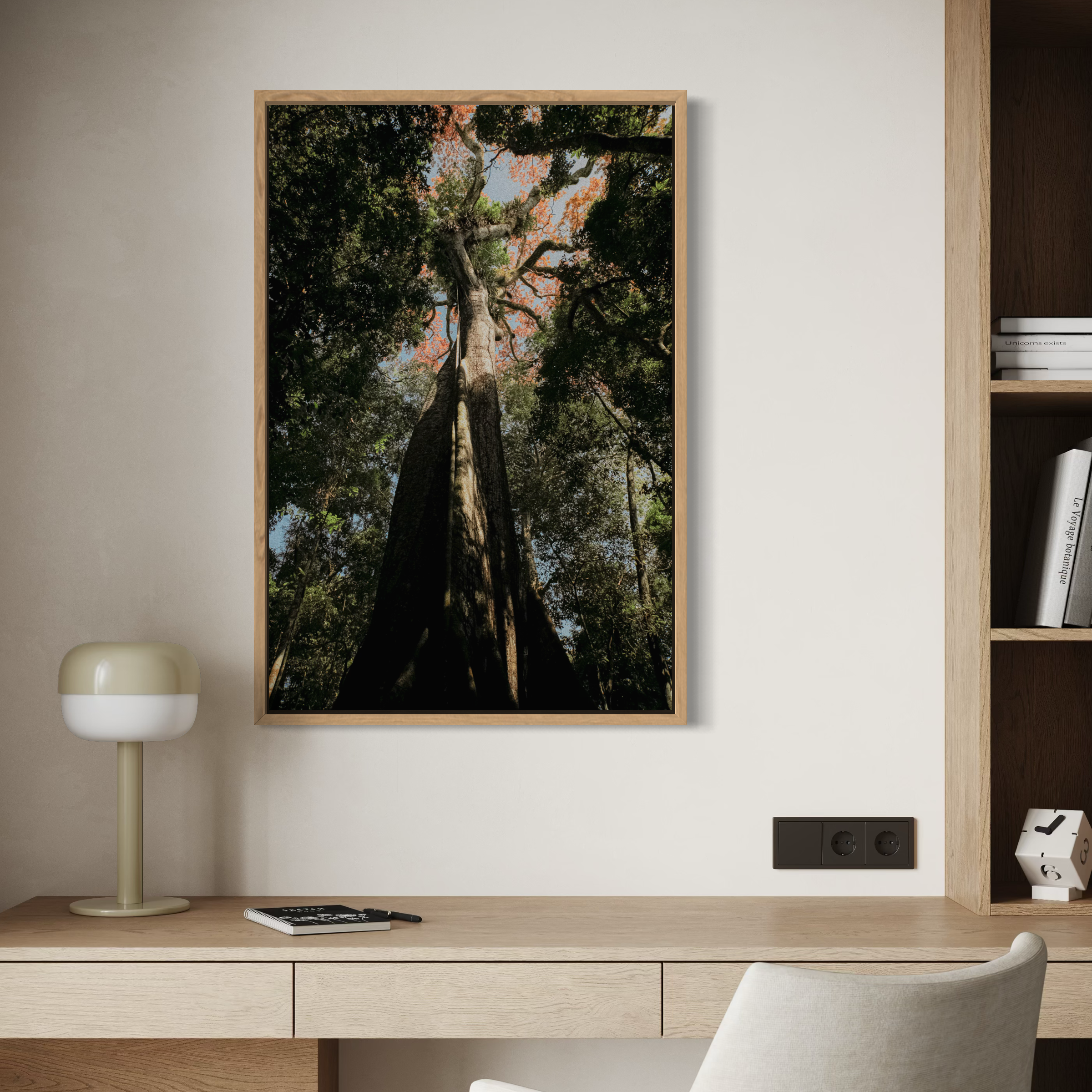 Sumaúma - Amazônia