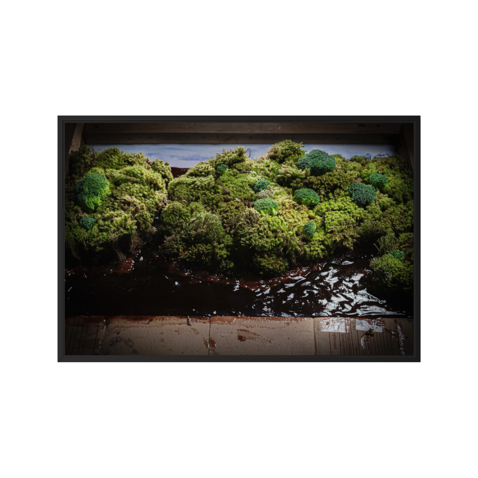 Amazônia