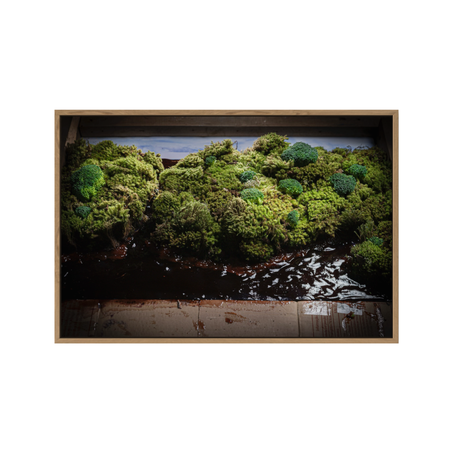 Amazônia