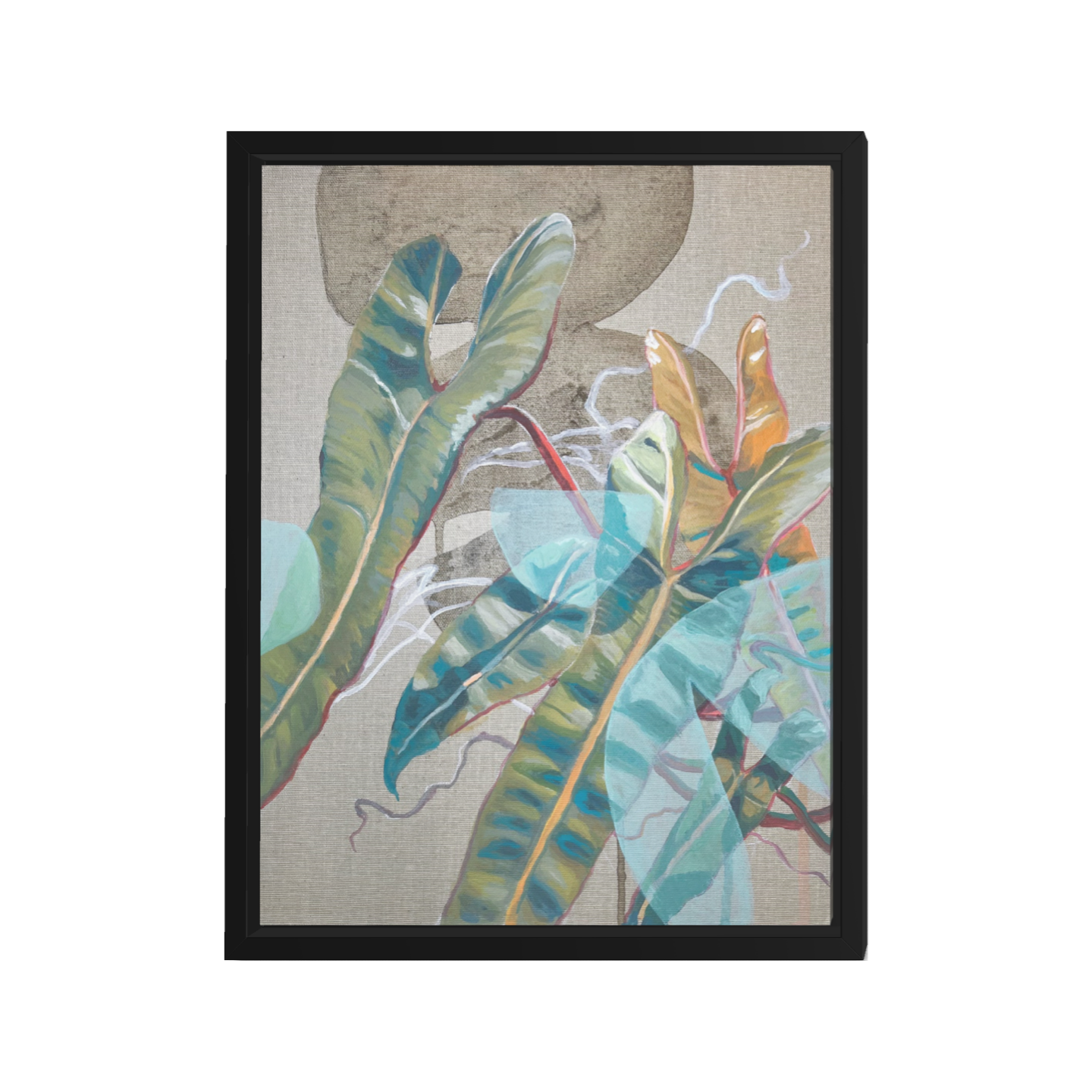 Philodendron Billietiae