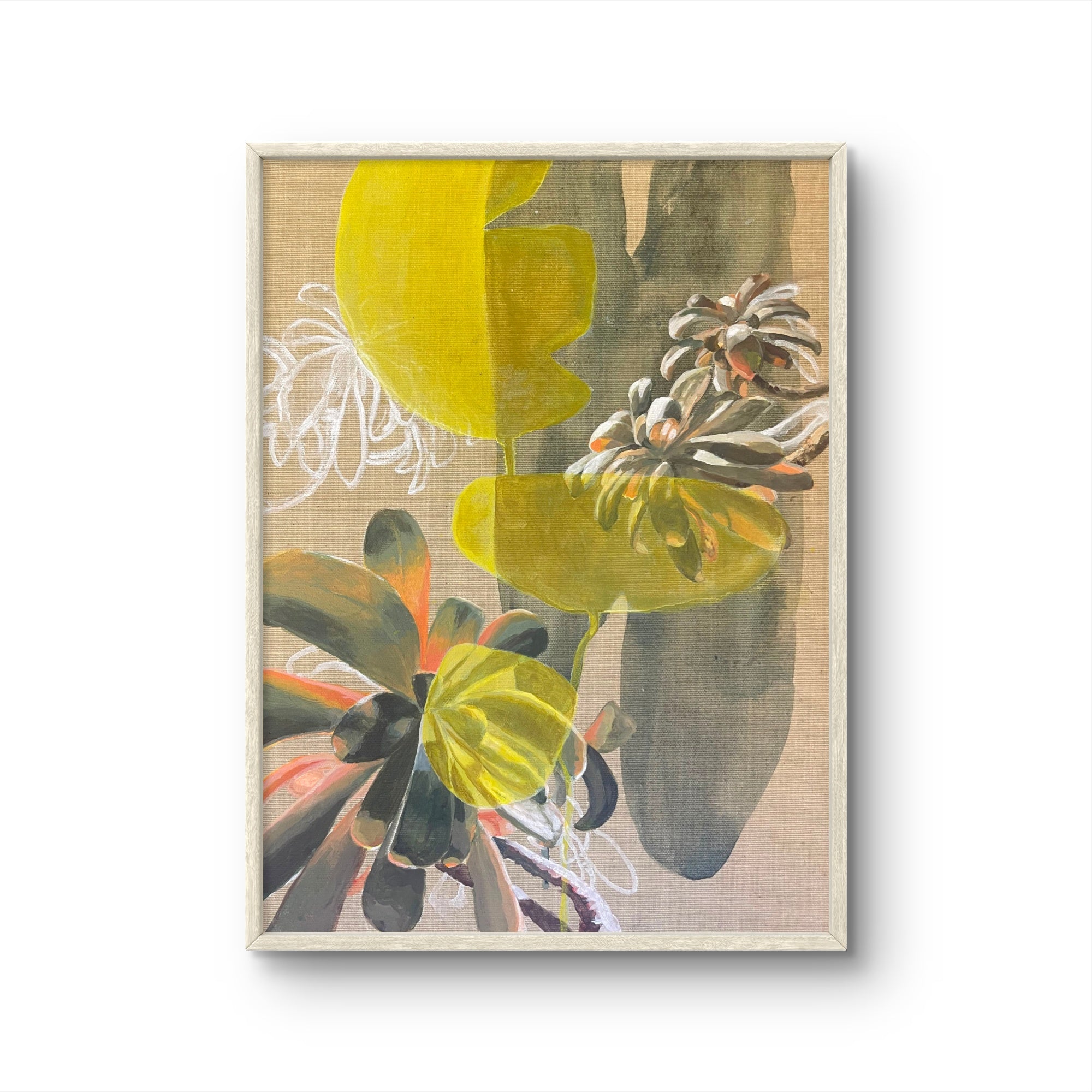 Jade Plant