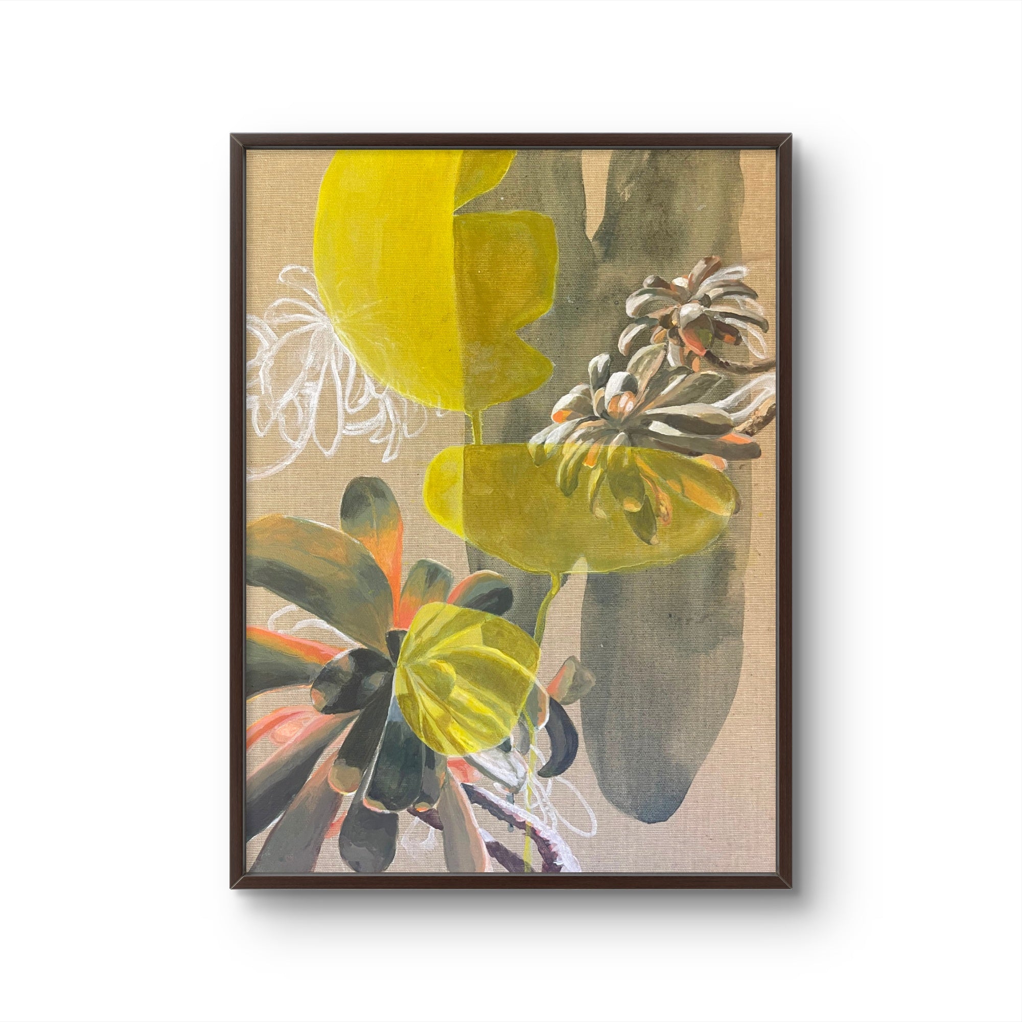 Jade Plant