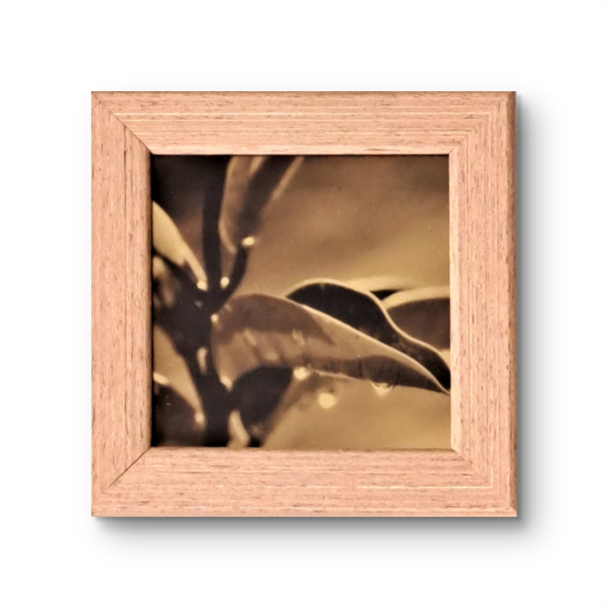 Golden 03