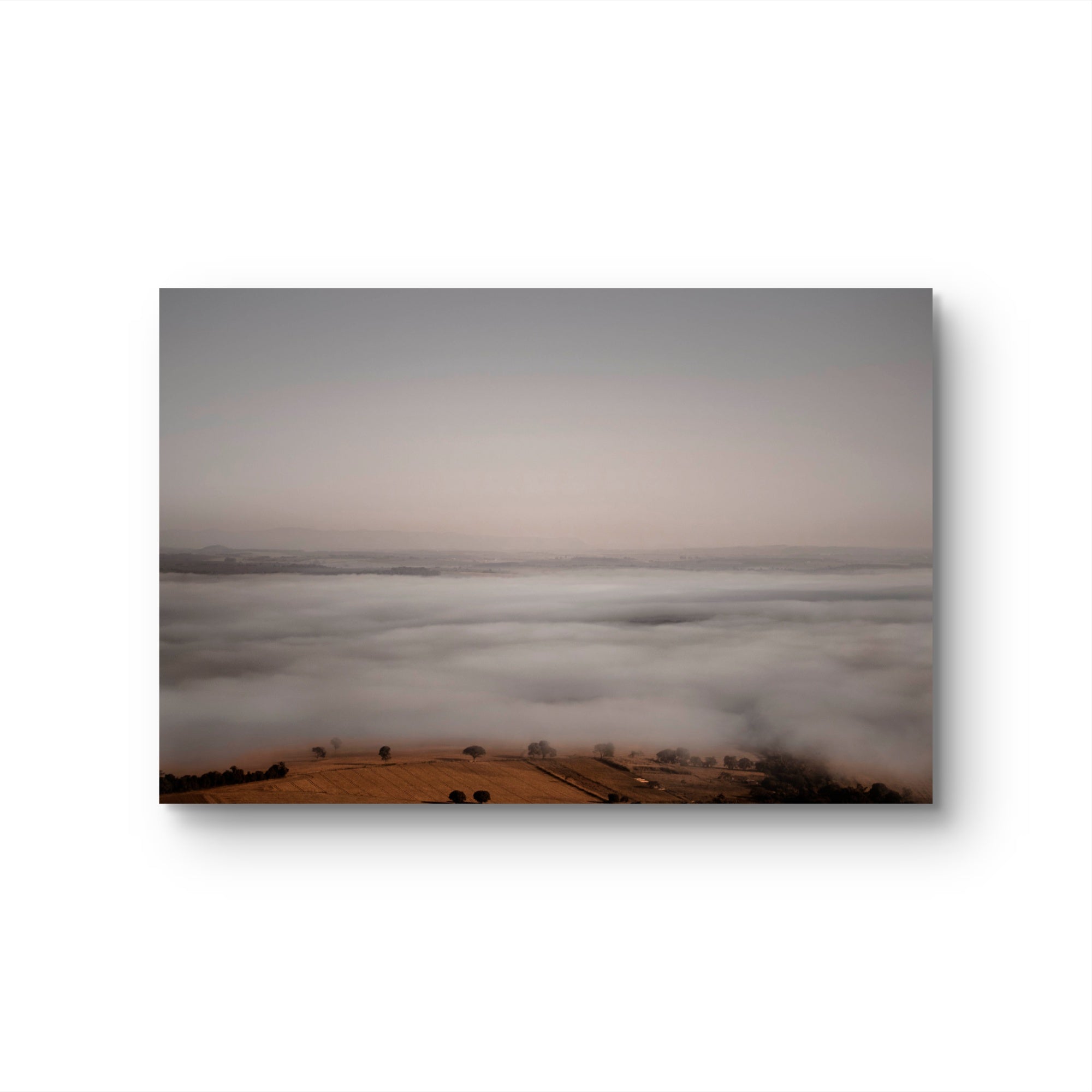 Horizonte 959
