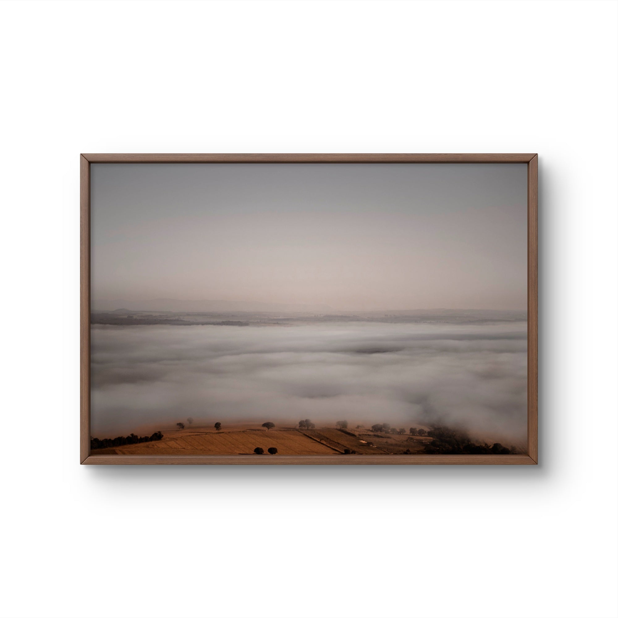 Horizonte 959