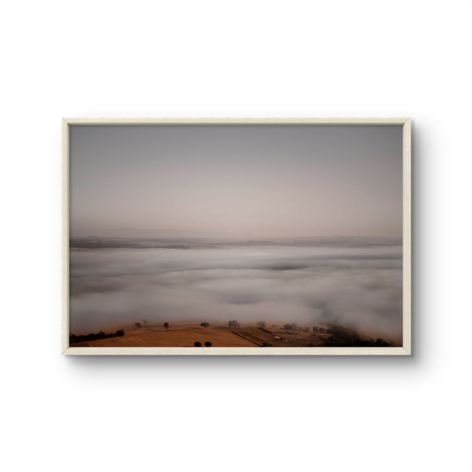 Horizonte 959
