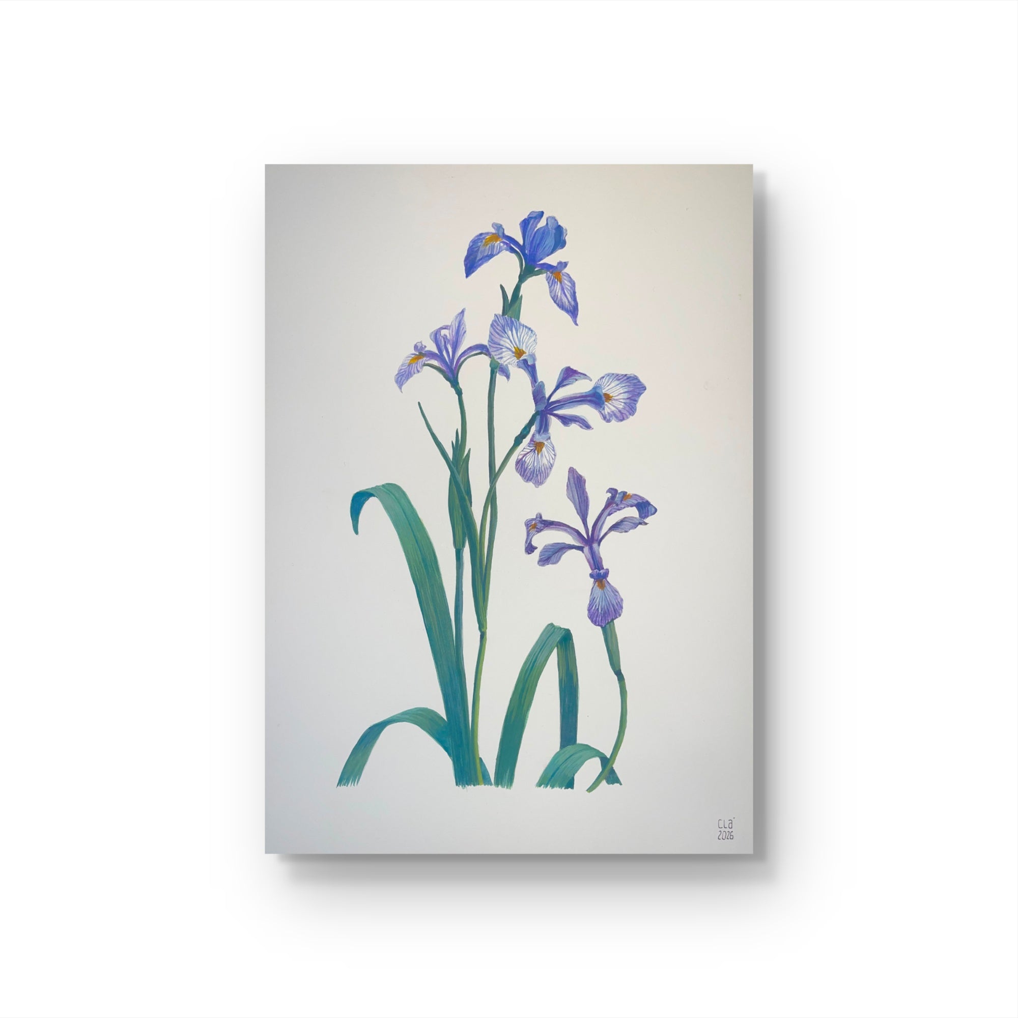 IRIS
