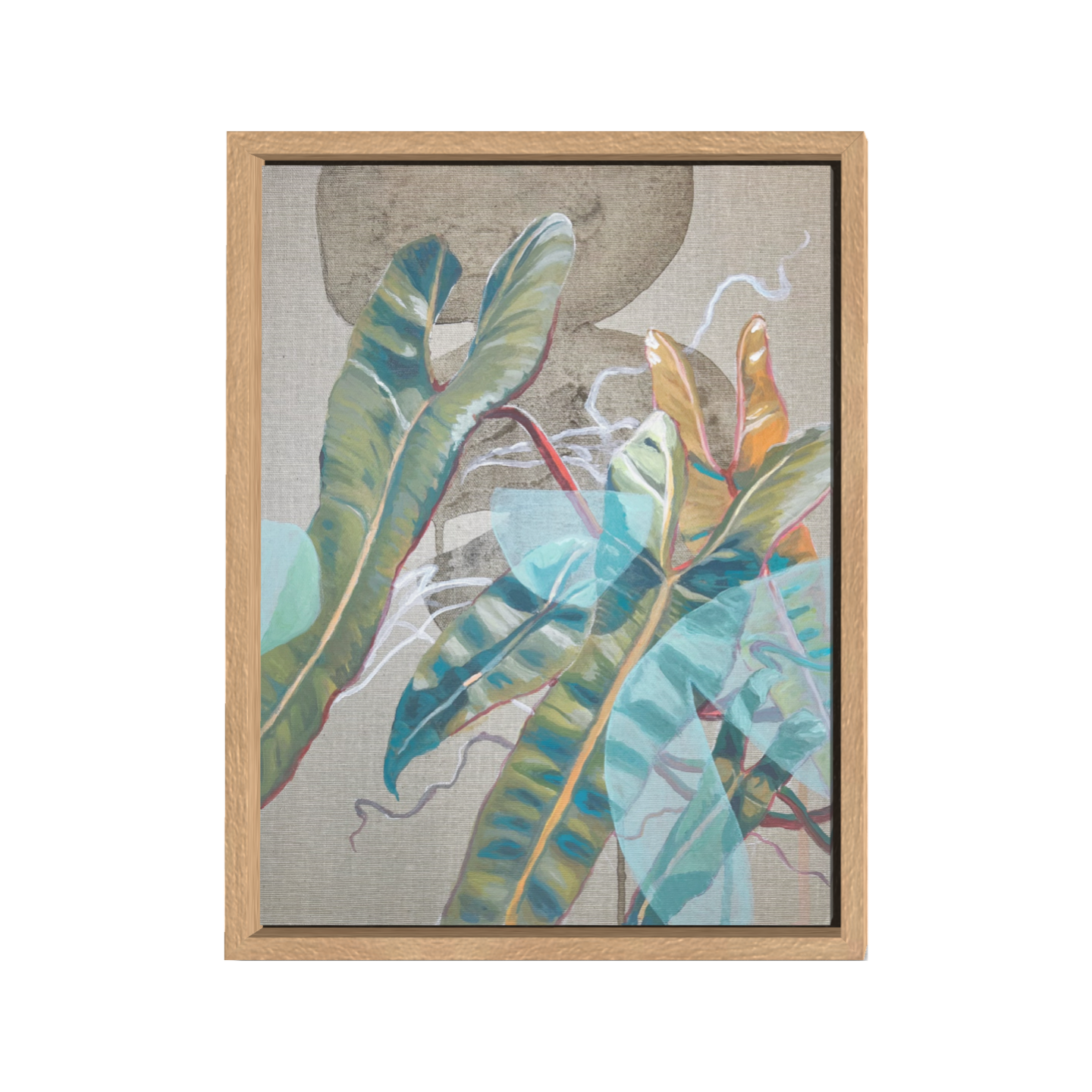 Philodendron Billietiae