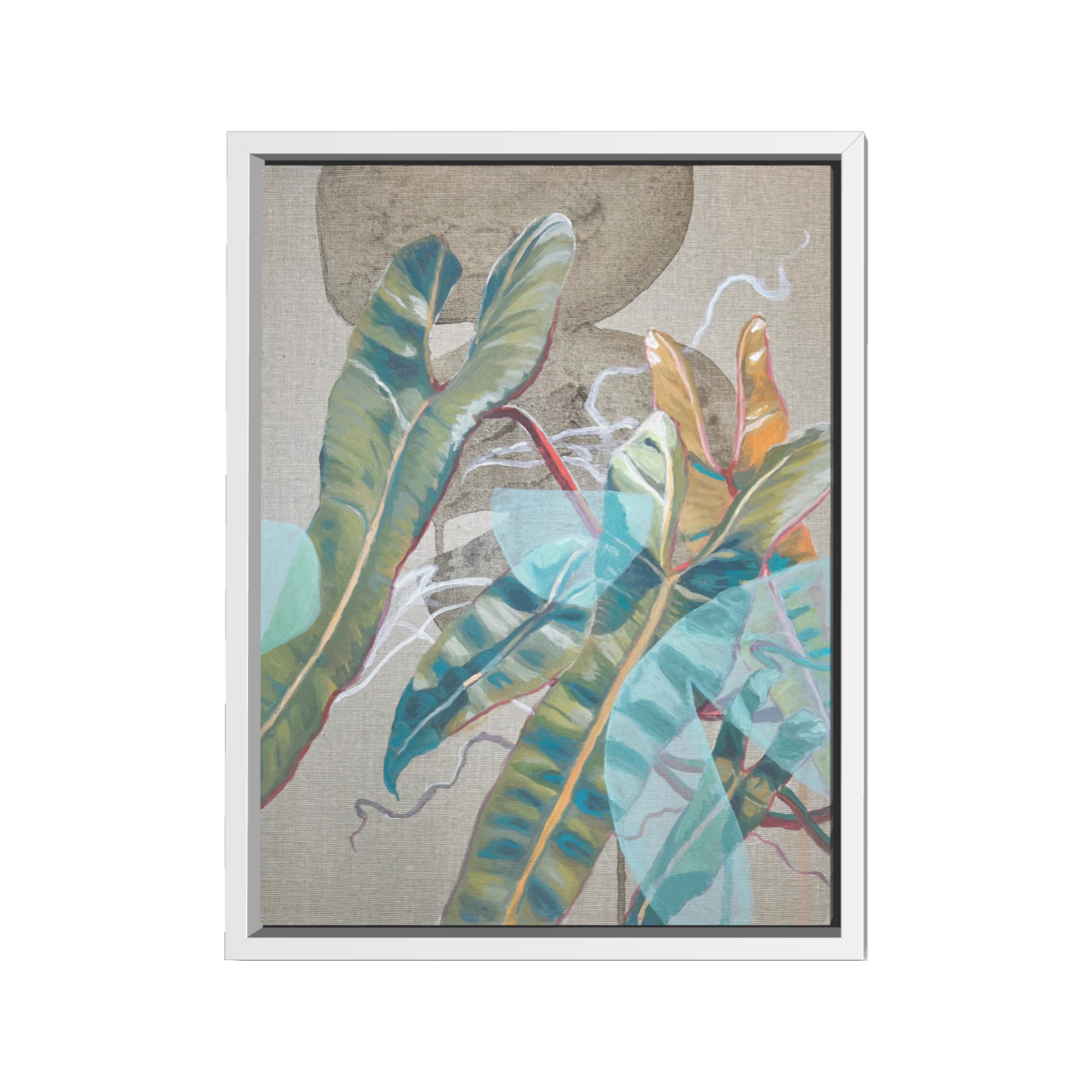 Philodendron Billietiae