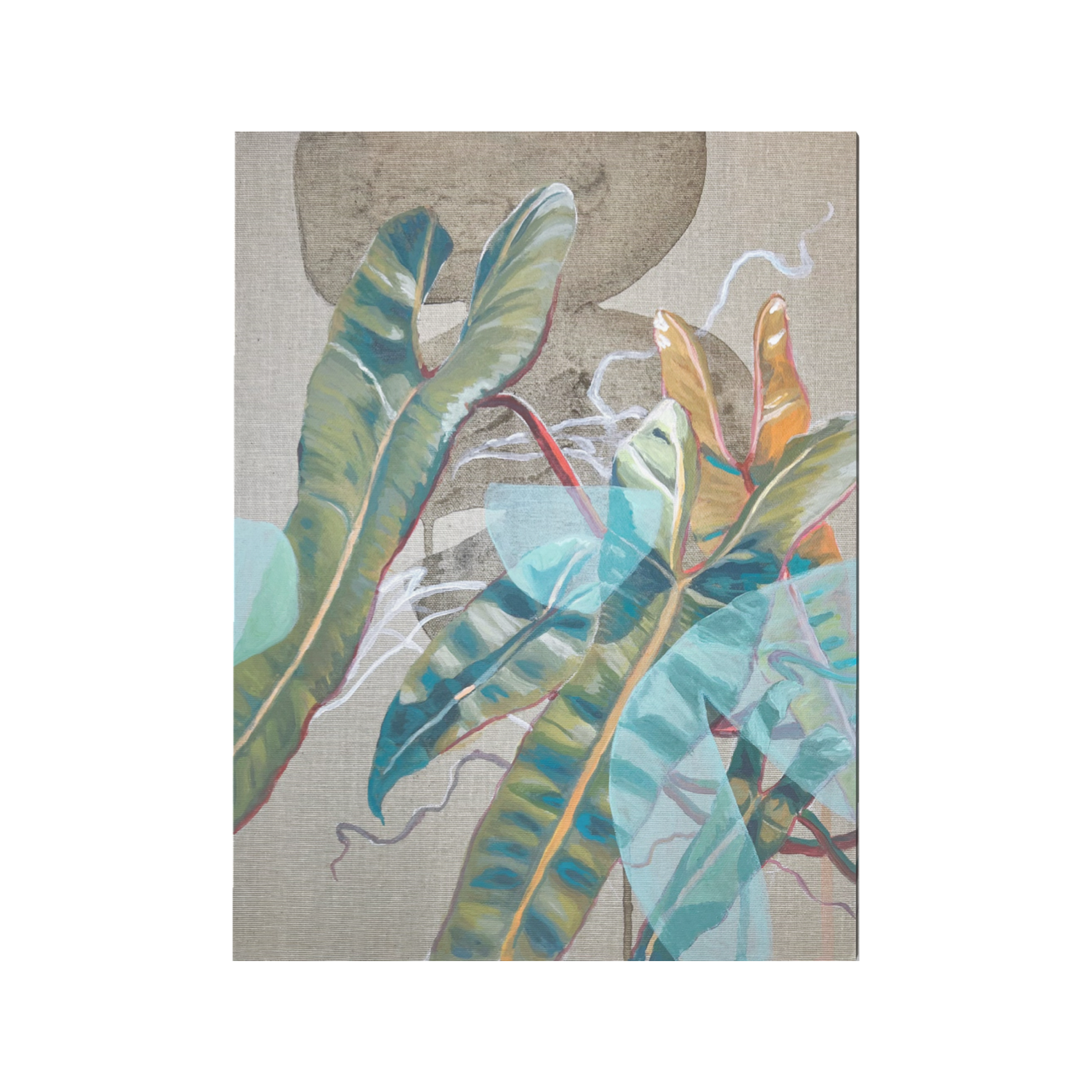 Philodendron Billietiae