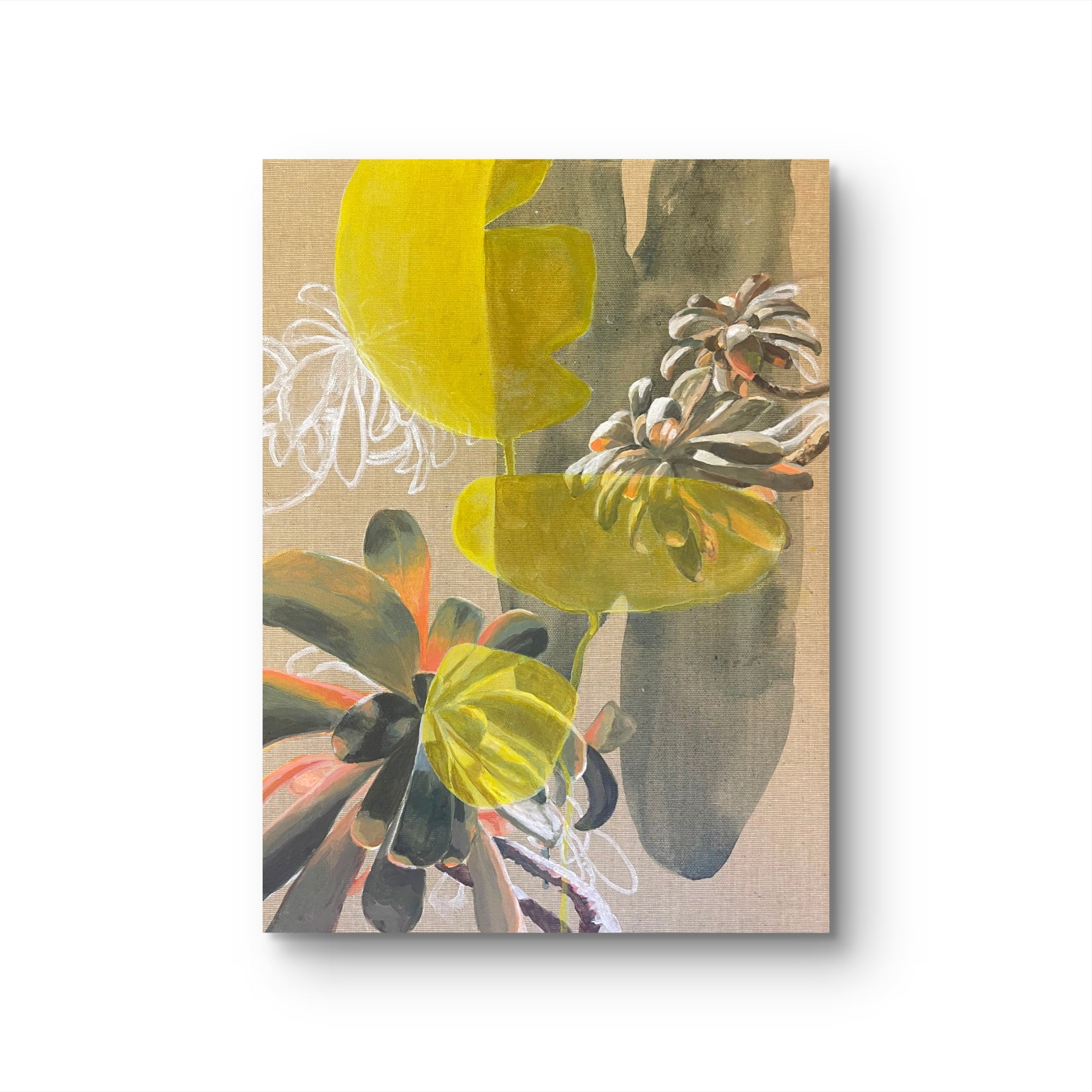 Jade Plant