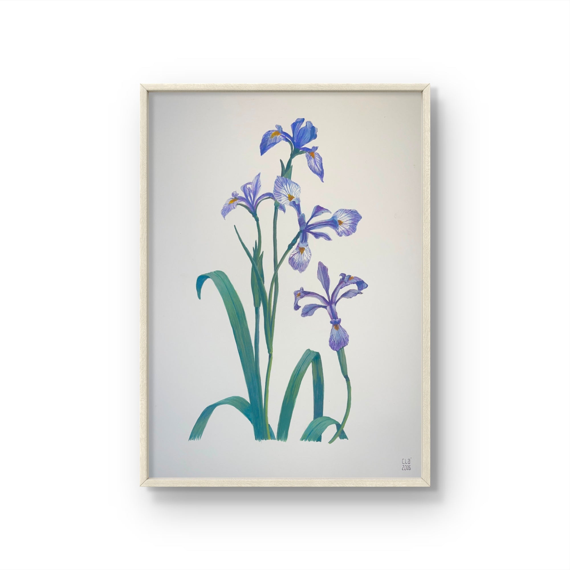 IRIS