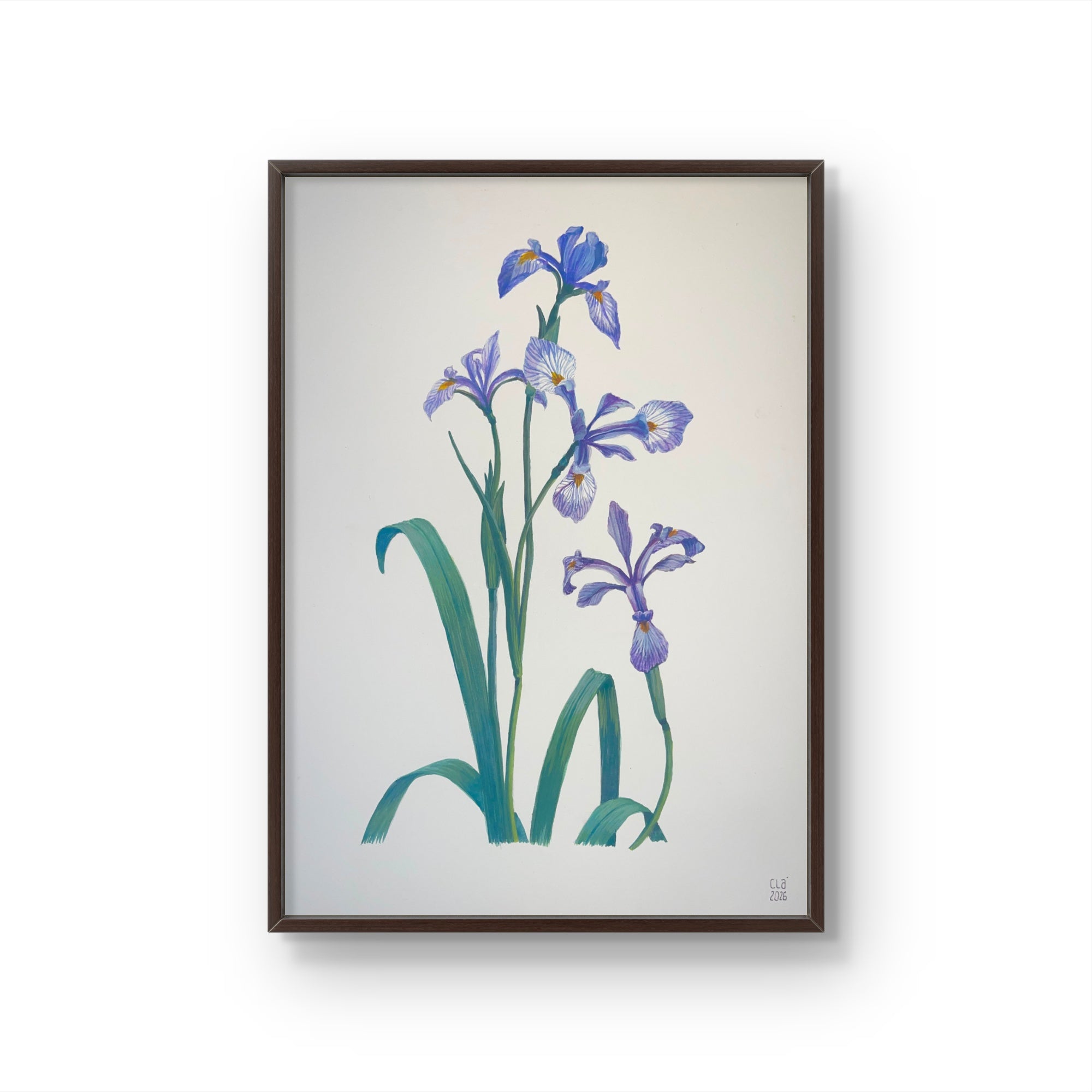 IRIS